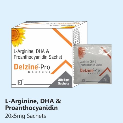 54_delzine pro